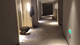 1581693840174_20200216102154.gif 1581693840174_20200216102154.gif