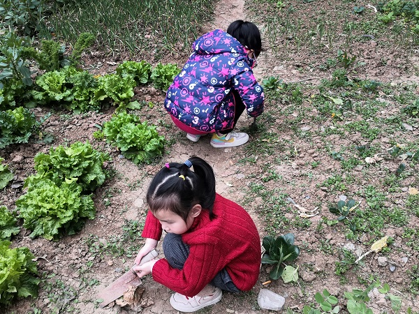 1 (7) - 600.jpg 1 (7) - 600.jpg
