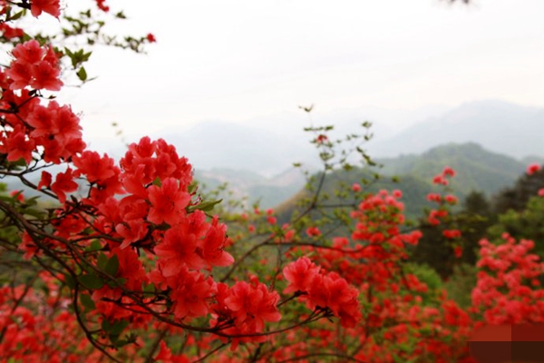 a824cbdeda5f4e30b880b7a40b1aff9c_副本.jpg a824cbdeda5f4e30b880b7a40b1aff9c_副本.jpg