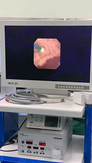 网站尺寸.gif 网站尺寸.gif