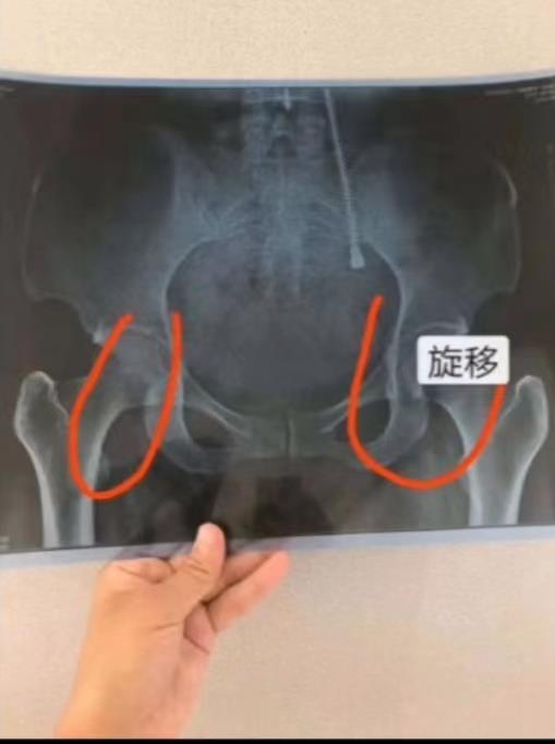 12.jpg 12.jpg
