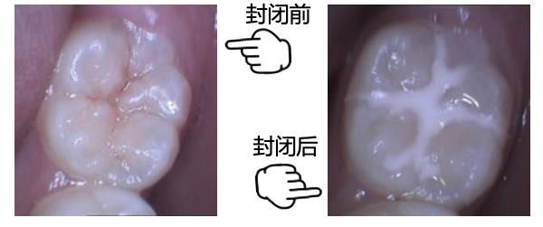 图片1 图片1.png