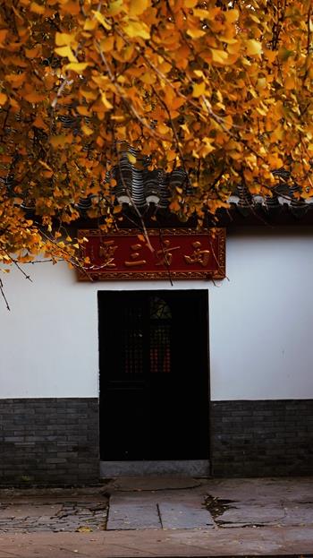 蒋利  报恩寺 2_副本.jpg