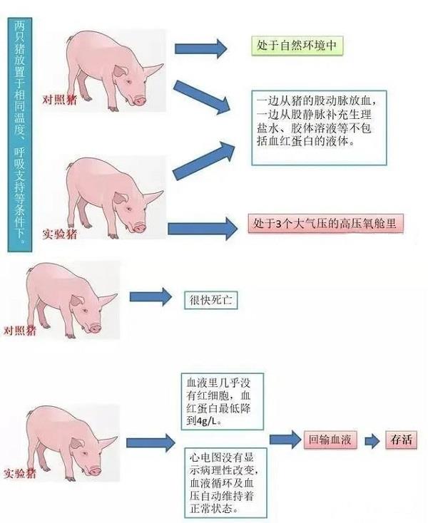 实验 实验.jpg