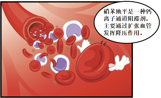 图片8.png