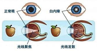 图片3 图片3.jpg