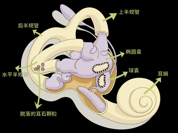 图片1 图片1.png