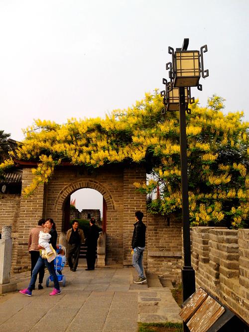 IMG20140413008_副本.jpg