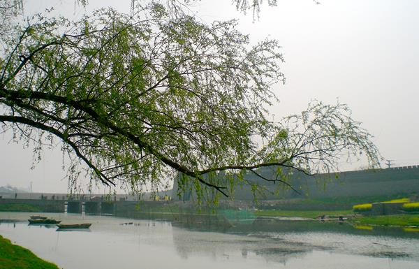 CIMG3866_副本.jpg