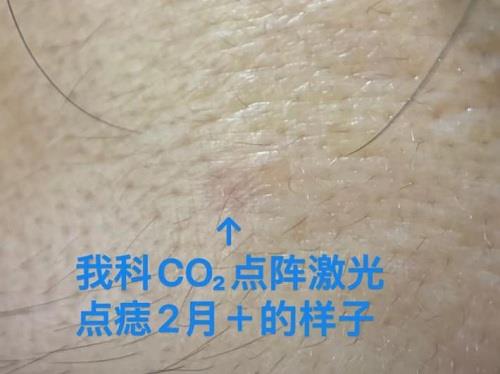 图片5 图片5.jpg